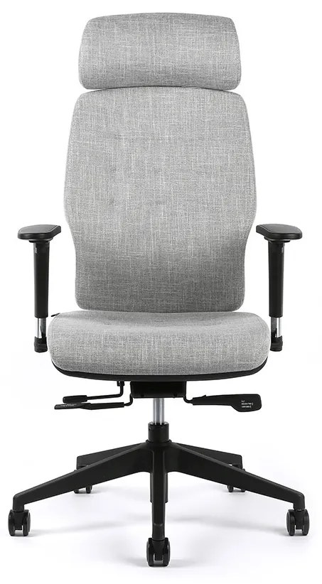 Kancelárska ergonomická stolička Office Pro SELENE — viac farieb Modrá F83
