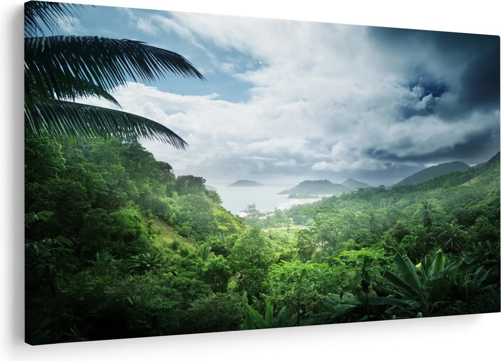 Obraz - Seychelská jungle (90x60 cm)