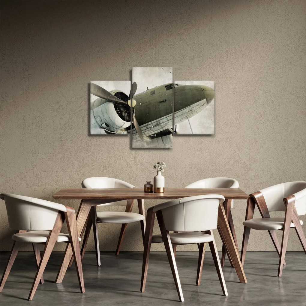 Obraz - Staré vrtuľové lietadlo (90x60 cm)