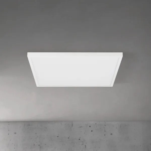 Orion - LED stmievateľné stropné svietidlo DISC LED/46W/230V 2700/3000/4000K 59x59 cm biele