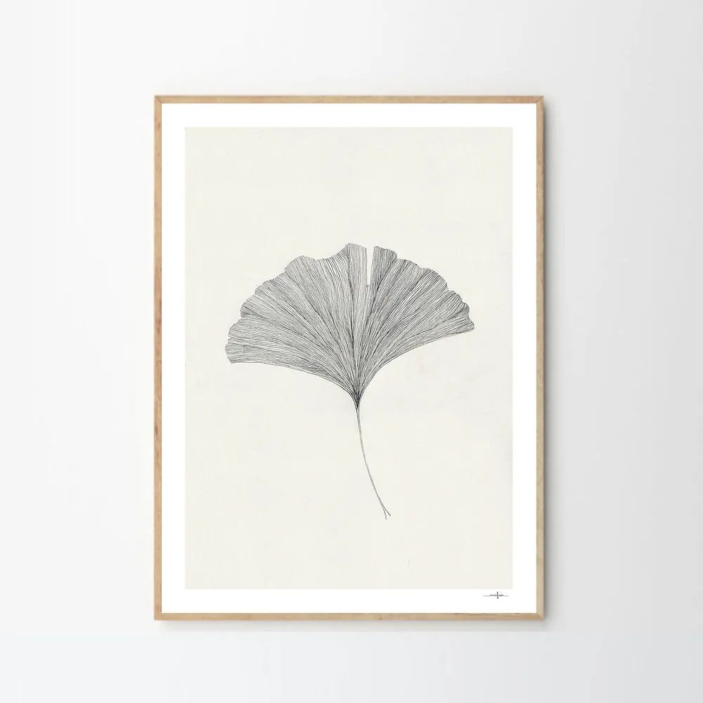 The Poster Club Plagát Ginkgo Leaf by Ana Frois A4 (21x27cm)