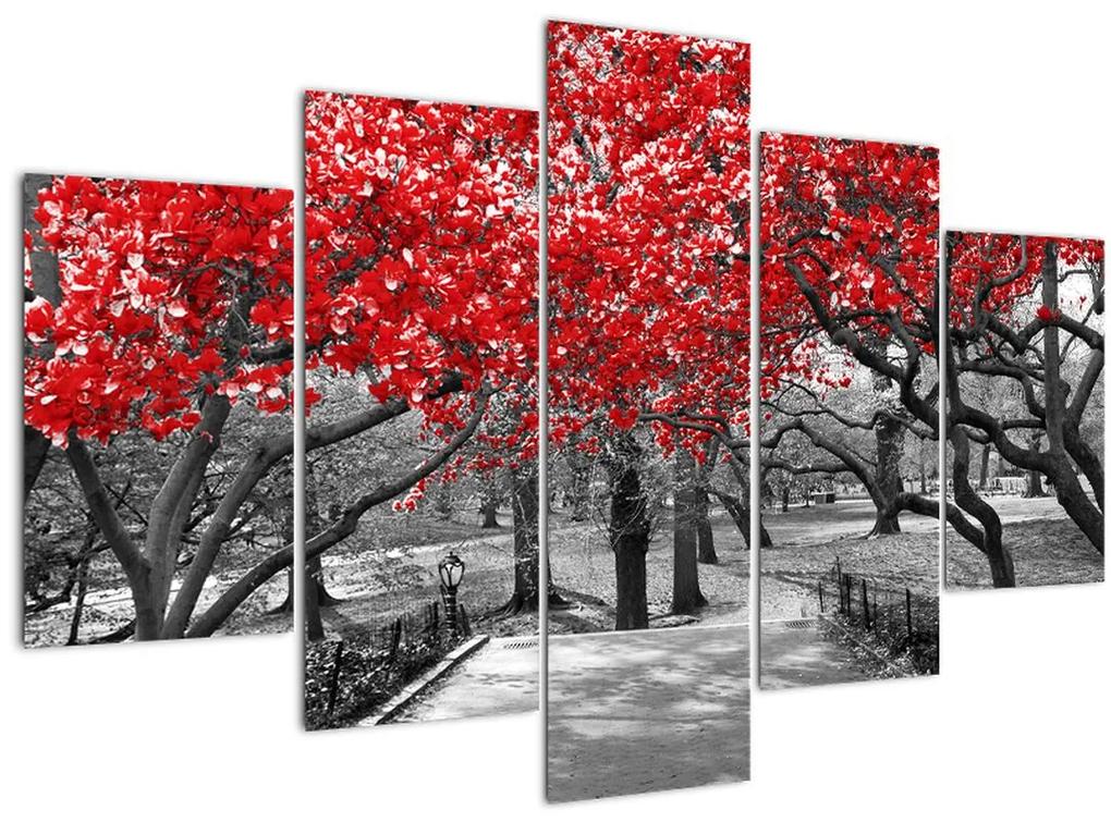 Obraz - Červené stromy, Central Park, New York (150x105 cm)