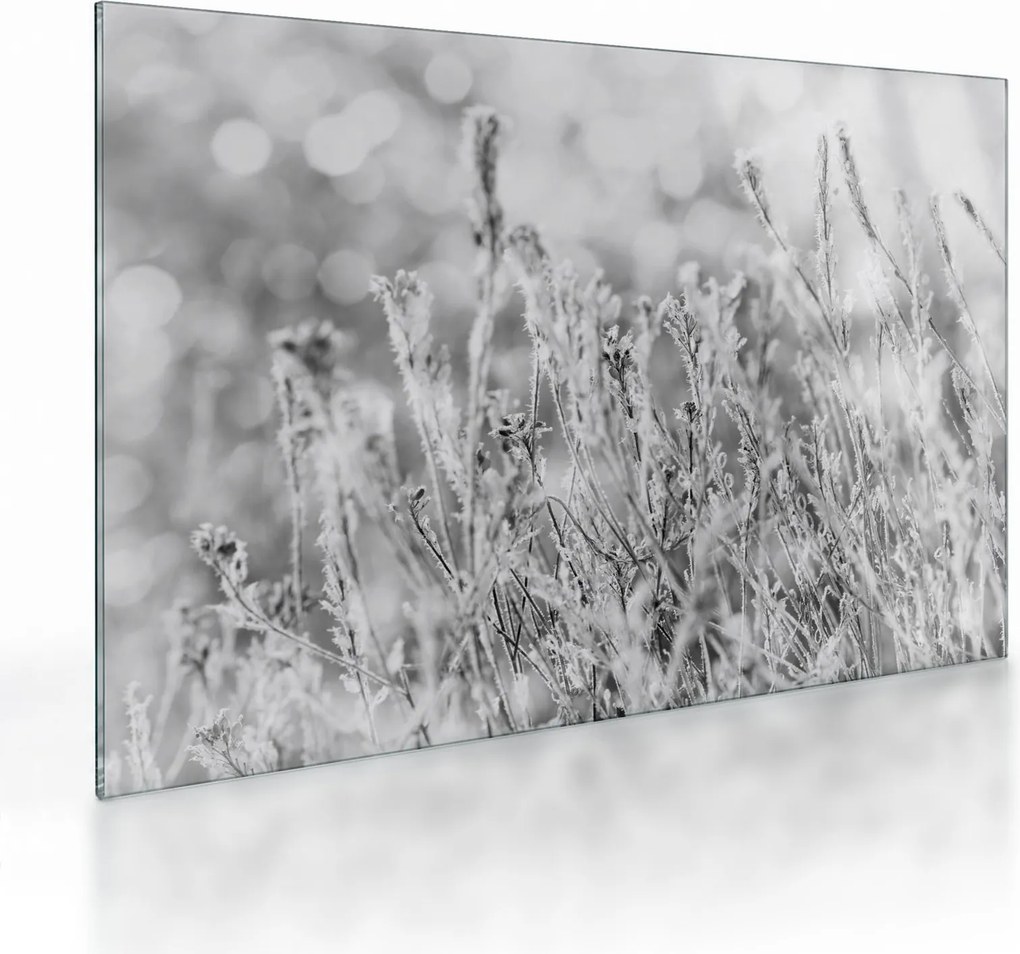 Sklenený obraz - Chladná zima (70x50 cm)