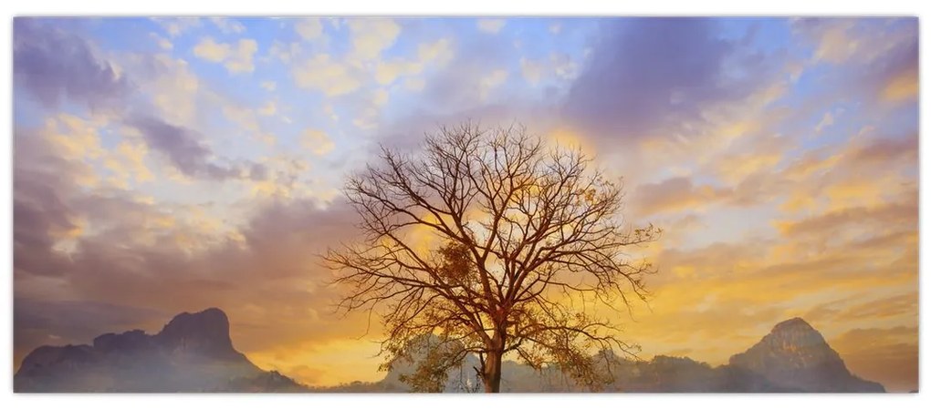 Obraz - Krajina so slnečnicami (120x50 cm)