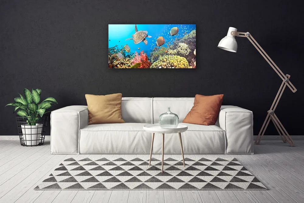 Obraz na plátne Koralový útes krajina 140x70 cm