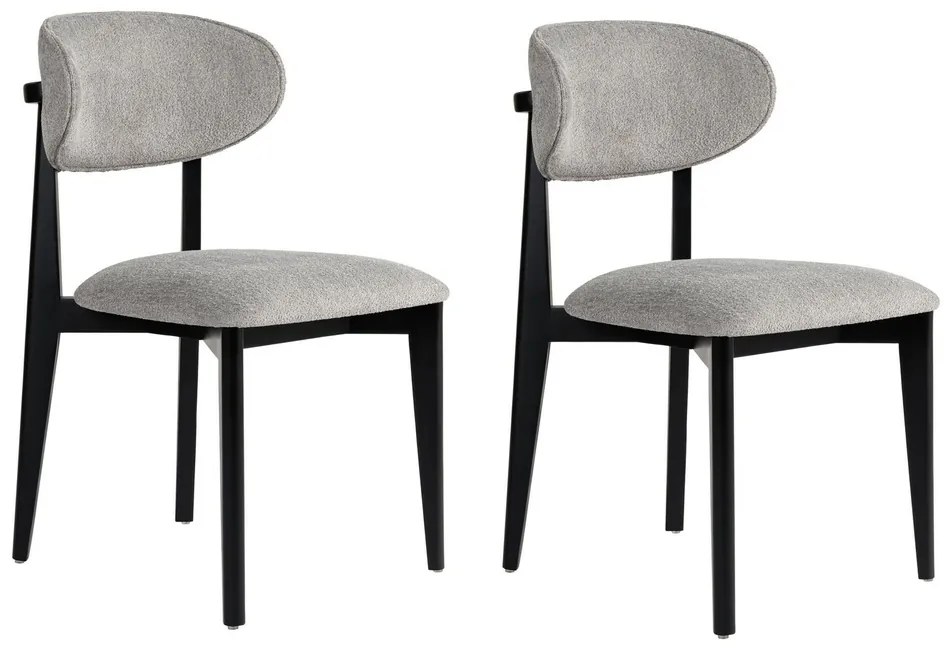 Sada jedálenských stoličiek Lionte Grey and Black,2 ks