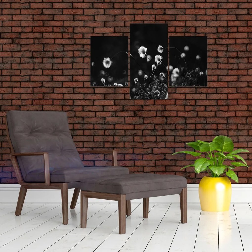 Obraz - Lúka s cottongrass N⁰1 (90x60 cm)