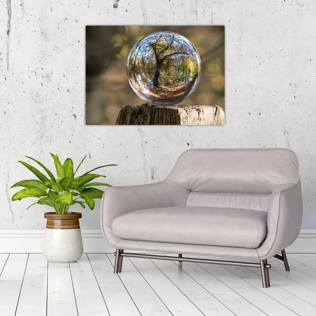 Sklenený obraz - Odraz v sklenenej guli (70x50 cm)