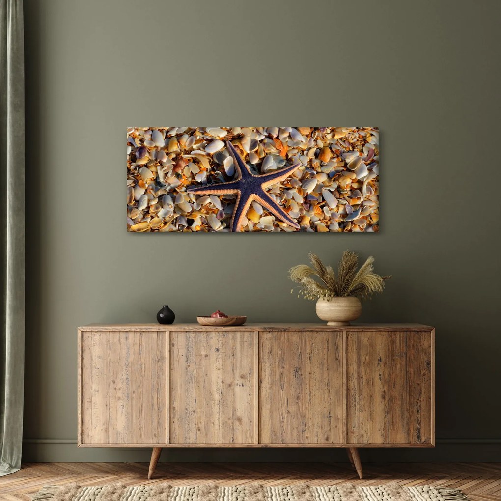 Obraz morskej hviezdice (120x50 cm)