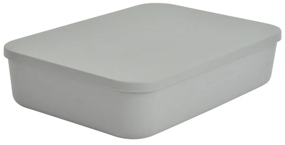 Sivý plastový úložný box s vekom 35,5x25,5x8 cm – Homéa