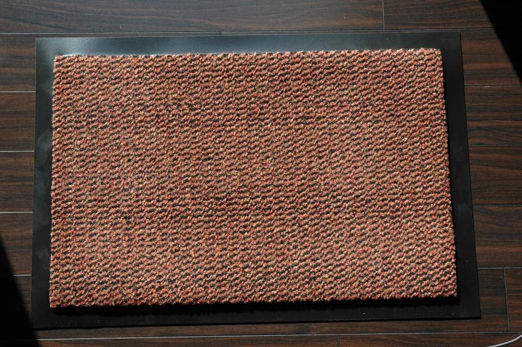 Hanse Home Collection koberce Rohožka Faro 100931 – na von aj na doma - 40x60 cm