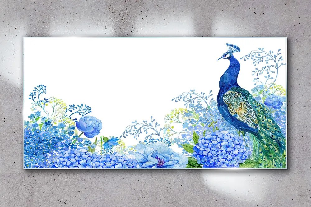 Skleneny obraz Kvety vták peacock
