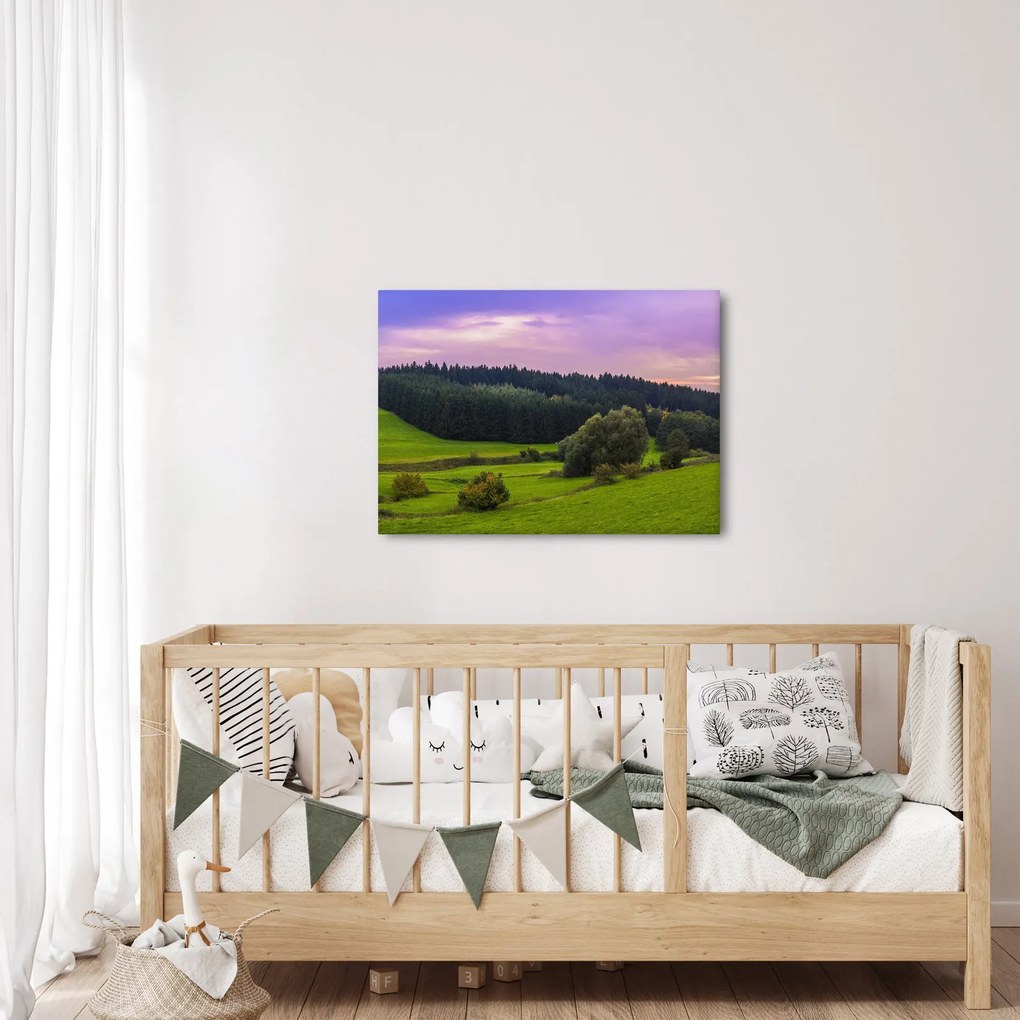 Obraz lúky (70x50 cm)