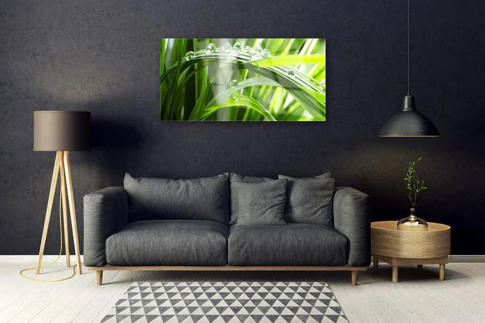 Skleneny obraz Tráva rosa kvapky rastlina 120x60 cm