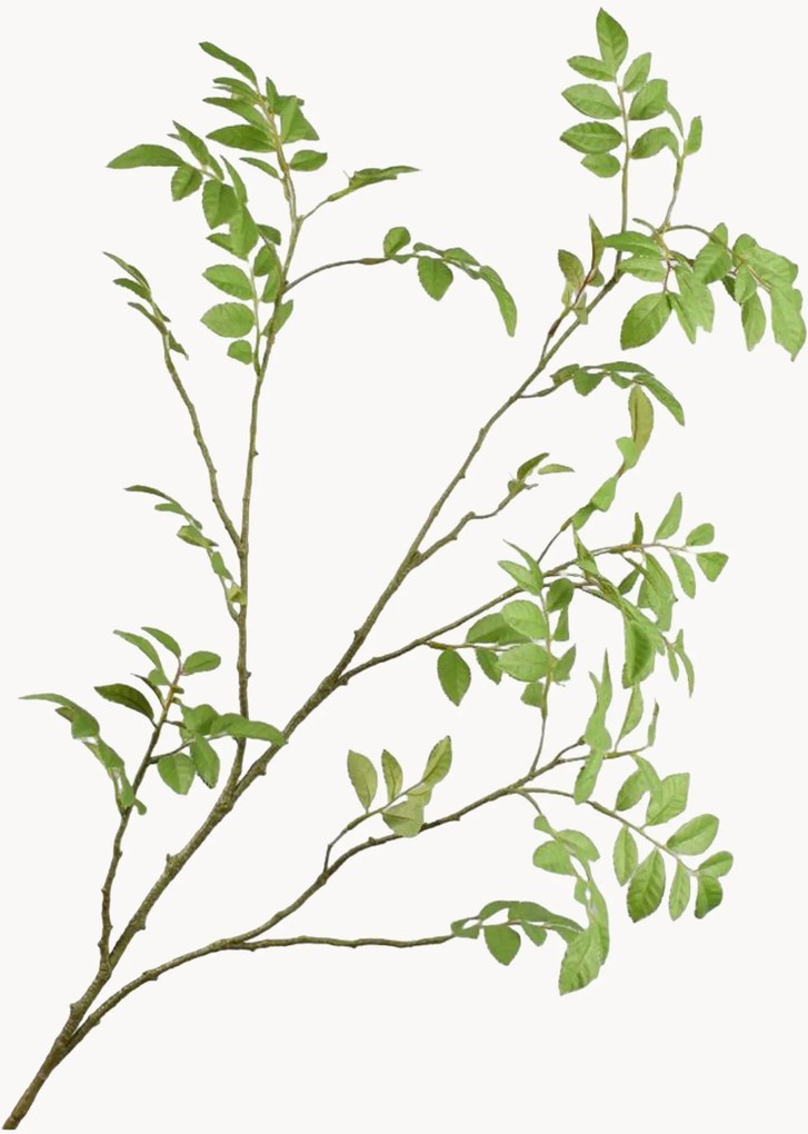 Rastlinné dekorácie Leaf, 2 ks
