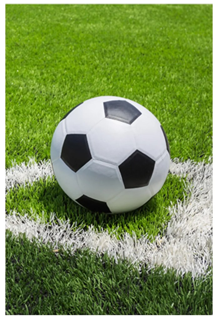 DETSKÁ FLEECOVÁ DEKA FOOTBALL 100X150 CM VZOROVANÁ