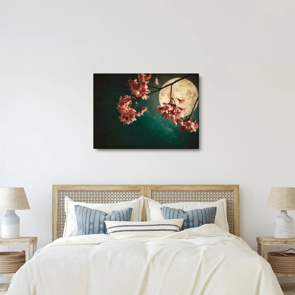 Obraz - Sakura v splne (70x50 cm)