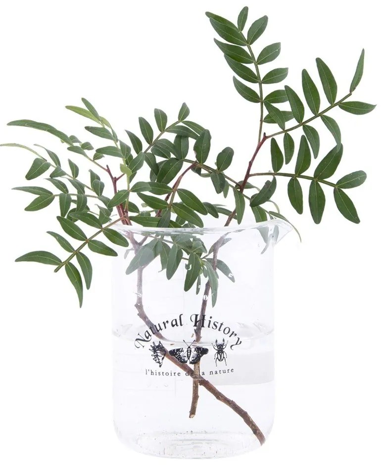 Sklenená váza (výška 12 cm) Natural History – Esschert Design