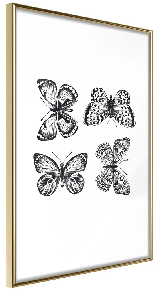 Artgeist Plagát - Four Butterflies [Poster] Veľkosť: 20x30, Verzia: Čierny rám s passe-partout