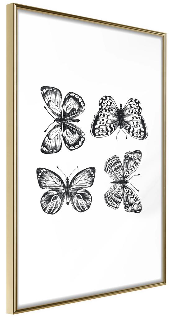 Artgeist Plagát - Four Butterflies [Poster] Veľkosť: 30x45, Verzia: Zlatý rám