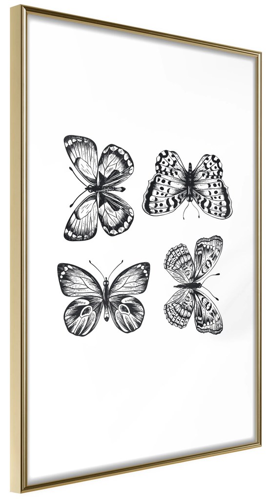 Artgeist Plagát - Four Butterflies [Poster] Veľkosť: 40x60, Verzia: Čierny rám s passe-partout