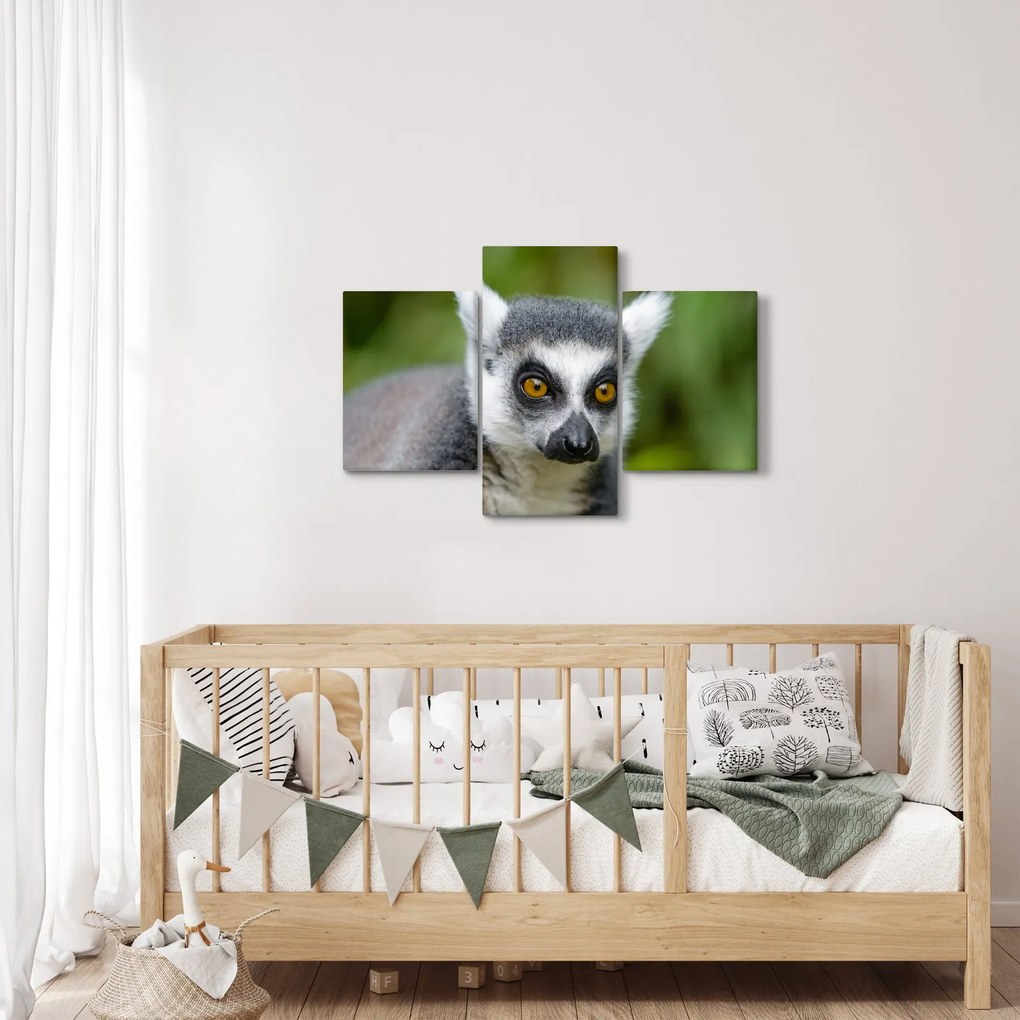 Obraz lemura (90x60 cm)
