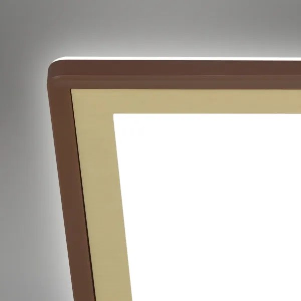 Briloner 7459-417 - LED Stmievateľné stropné svietidlo DECO LED/24W/230V + DO