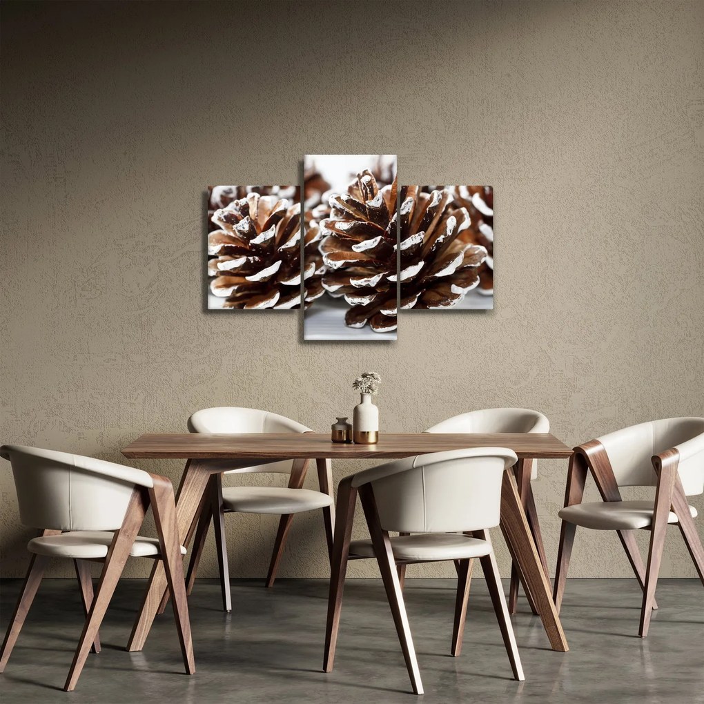 Obraz - Šišky (90x60 cm)
