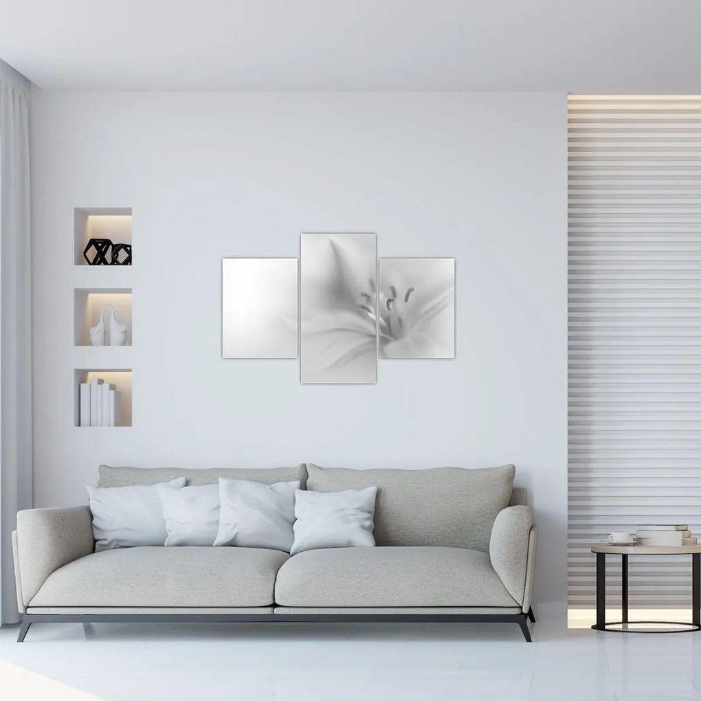 Obraz - Jemná ľalia (90x60 cm)