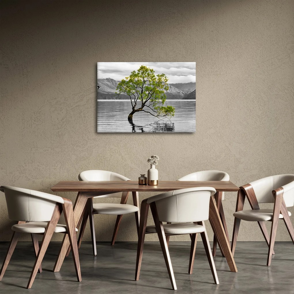 Obraz stromu uprostred jazera (70x50 cm)