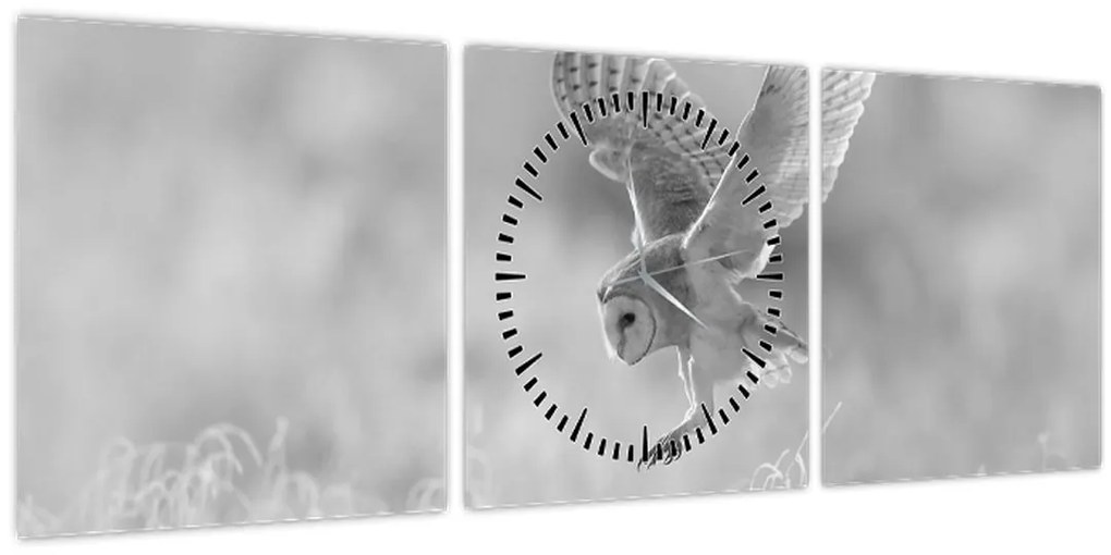 Obraz - Sova, čiernobiela (s hodinami) (90x30 cm)