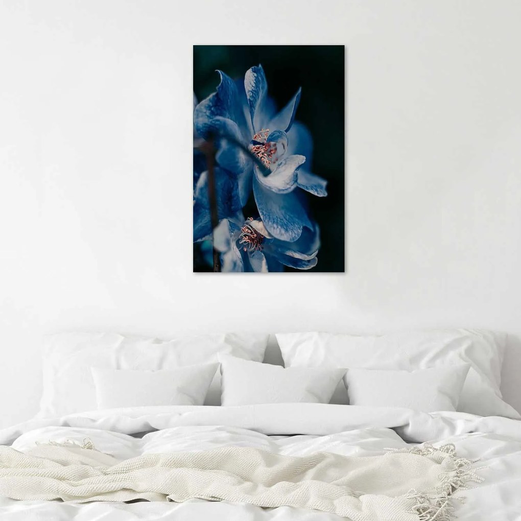 Gario Plagát Detailný záber na modrý kvet Farba rámu: Bez rámu, Rozmery: 40 x 60 cm