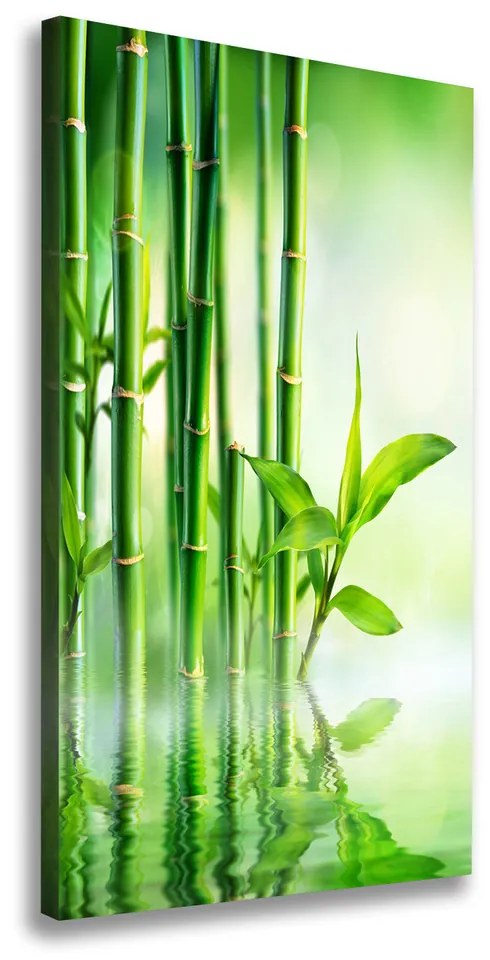 Foto obraz na plátne Bambus vo vode pl-oc-60x120-f-120328411