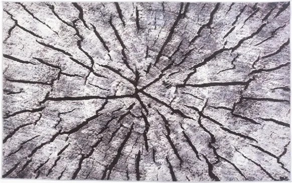 Protišmykový koberec NOVO peň / sivý