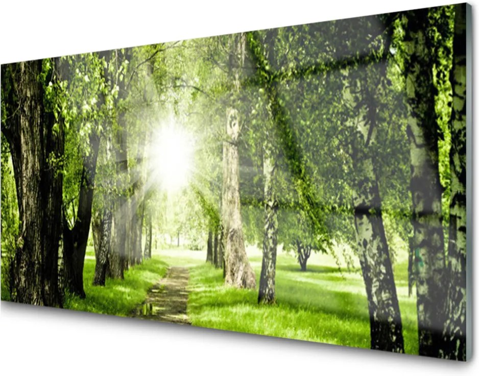 Skleněný obraz Les Slnko Chodník Príroda