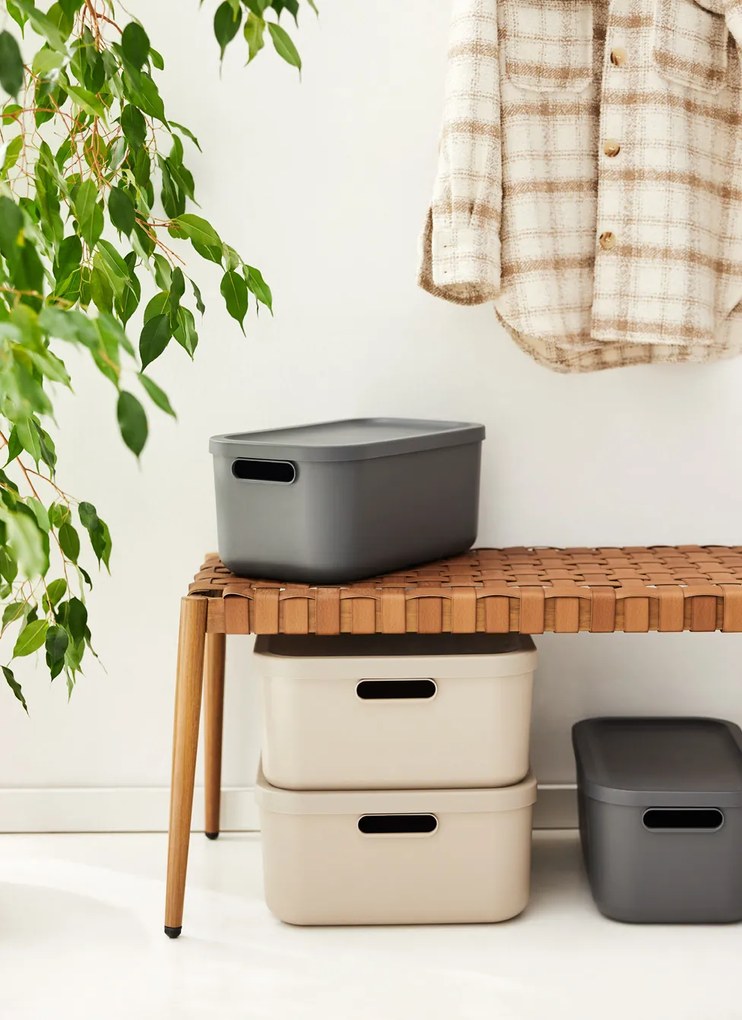 Rotho Úložný box, rovný s vekom, 12 l, cappuccino ALBU LIGHT, 40 x 24 x 18 cm