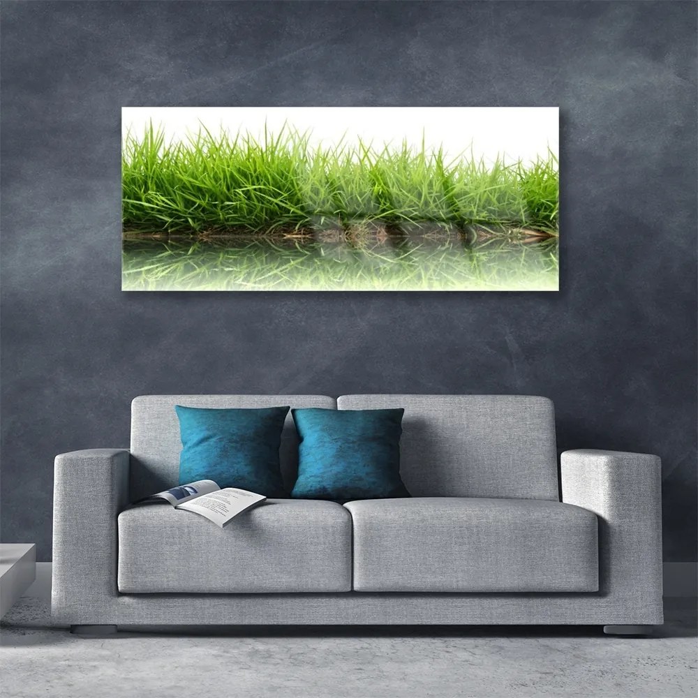 Obraz na akrylátovom skle Tráva voda príroda rastlina 125x50 cm