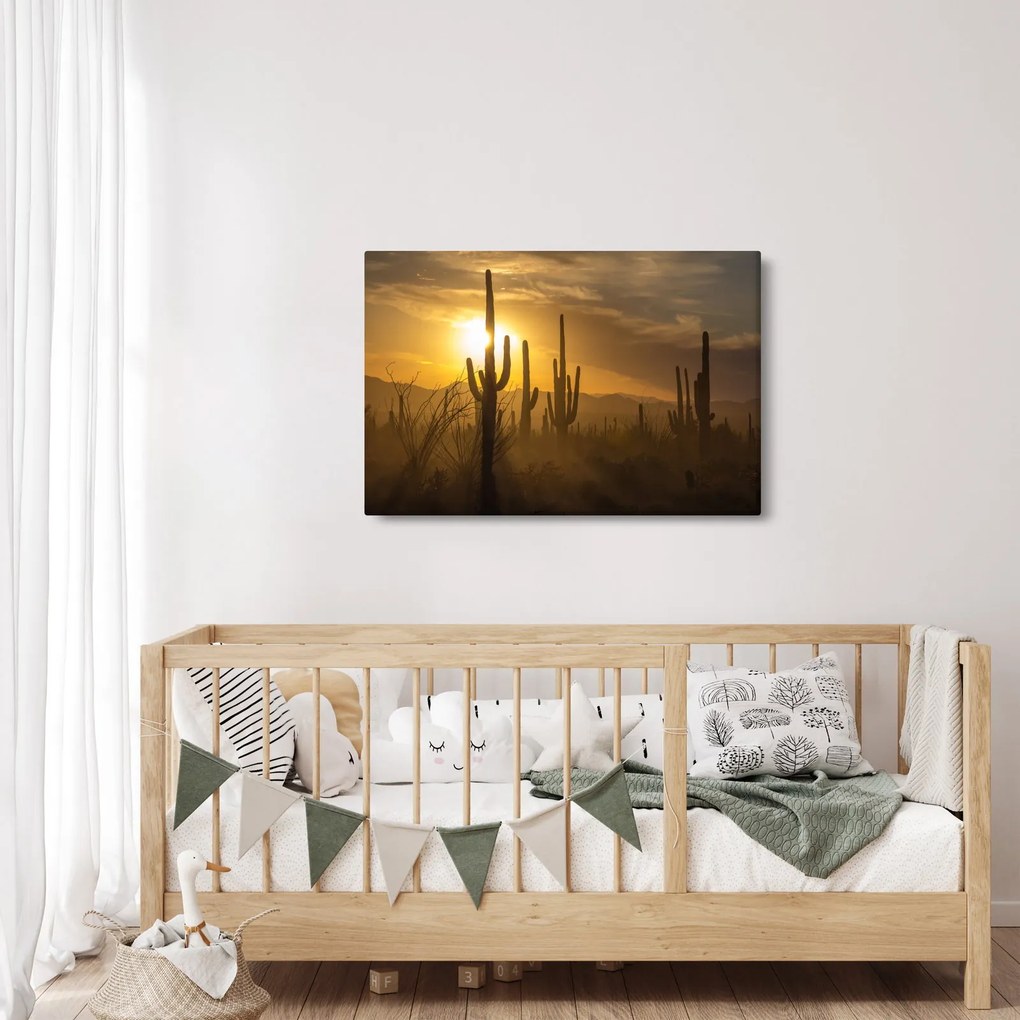 Obraz - Kaktusy Saguaro (90x60 cm)