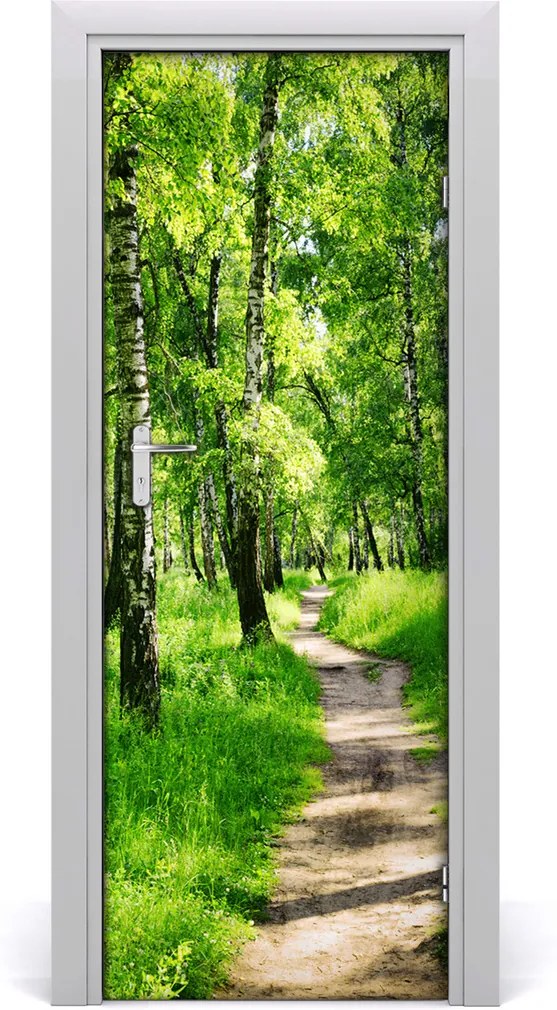 Fototapeta na dvere  Břízová les