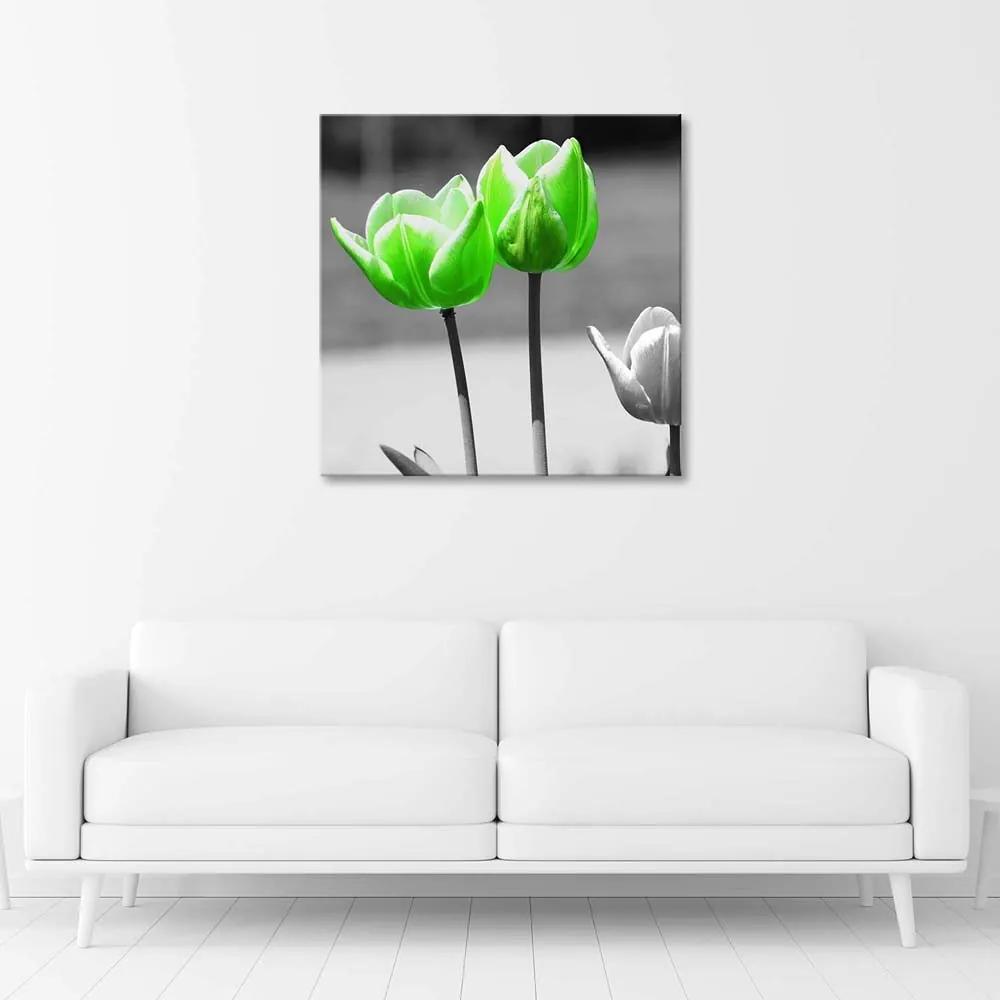 Gario Obraz na plátne Zelené tulipány v sivej farbe Rozmery: 30 x 30 cm