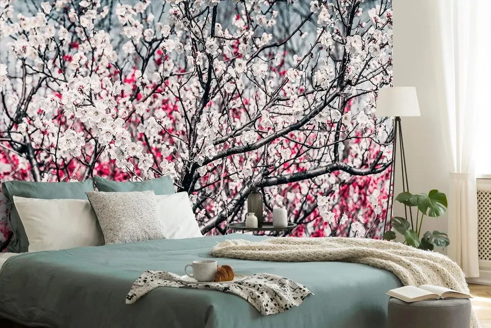 Fototapeta kvety broskyne