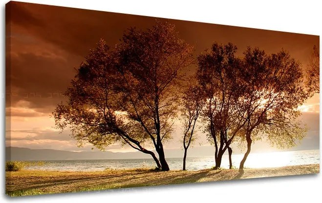 Obraz na stenu PANORÁMA STROMY