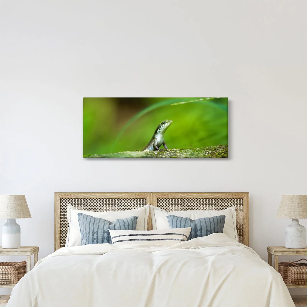 Obraz jašteričky (120x50 cm)