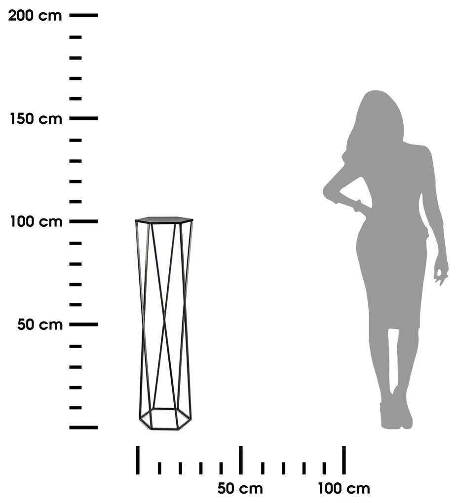 STOJAN NA KVETINÁČ HEXAGON 100X24X27 CM ČIERNA