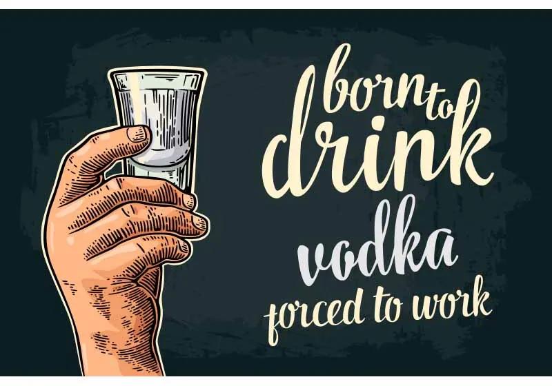 Ceduľa Born To Drink Vodka - Porced To Work