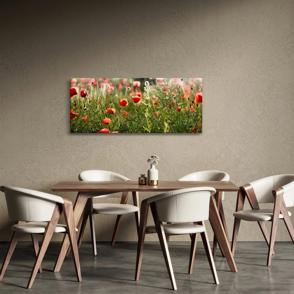 Obraz vlčích makov (120x50 cm)