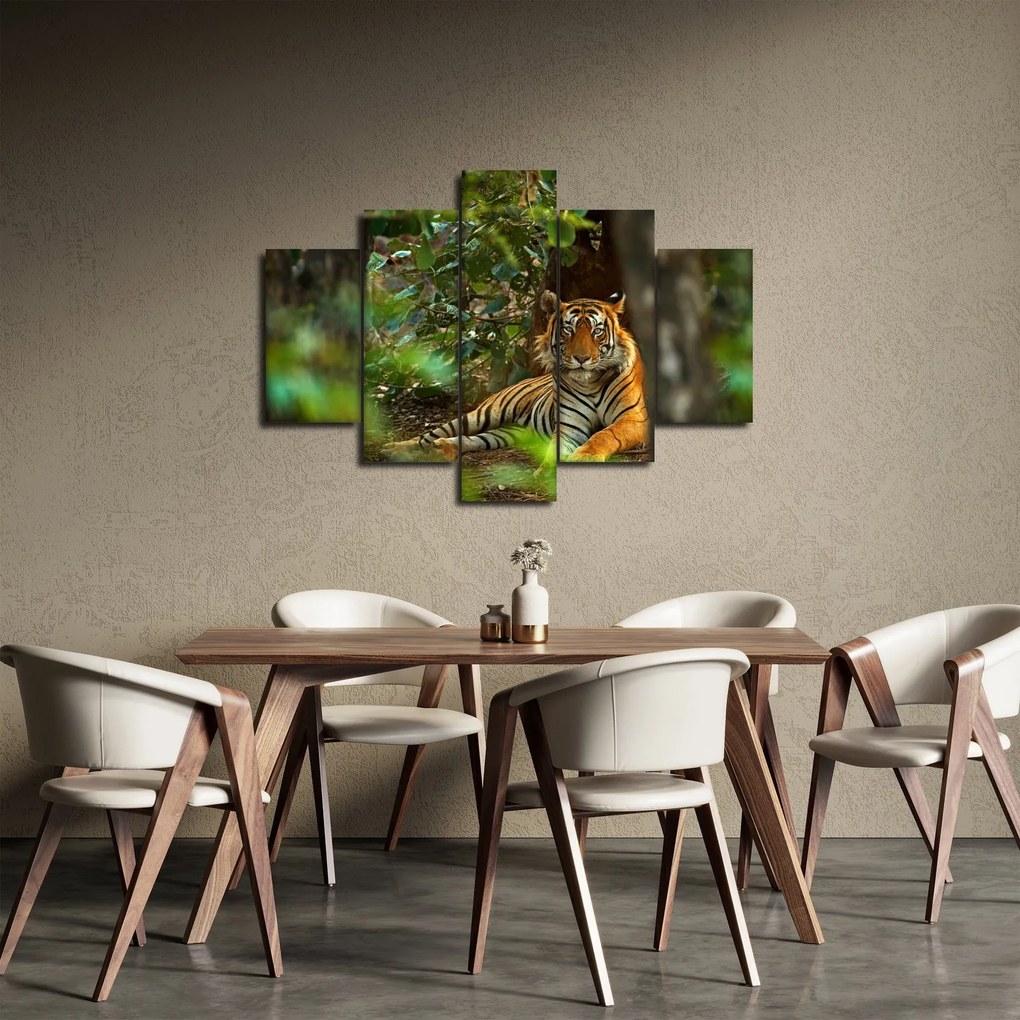 Obraz odpočívajúceho tigra (150x105 cm)