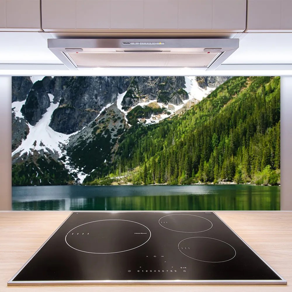 Sklenený obklad Do kuchyne Jazero les hory príroda 140x70 cm