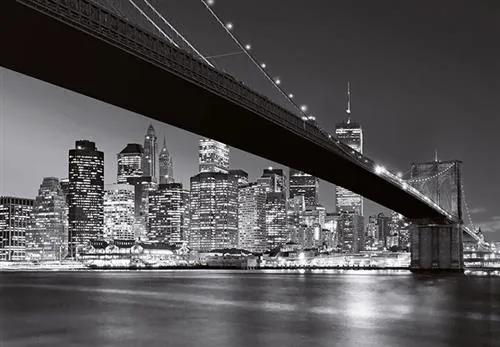 Fototapety, rozmer 366 x 254 cm, Brooklyn Bridge NY, W+G 140
