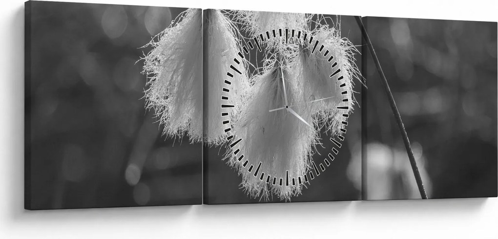Obraz - Cottongrass (s hodinami) (90x30 cm)